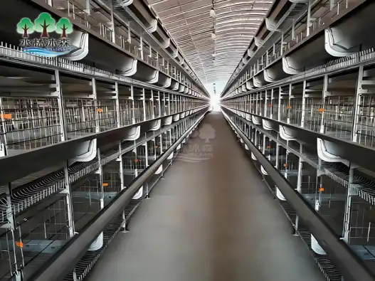 Best practices for broiler cage ventilation and climate control